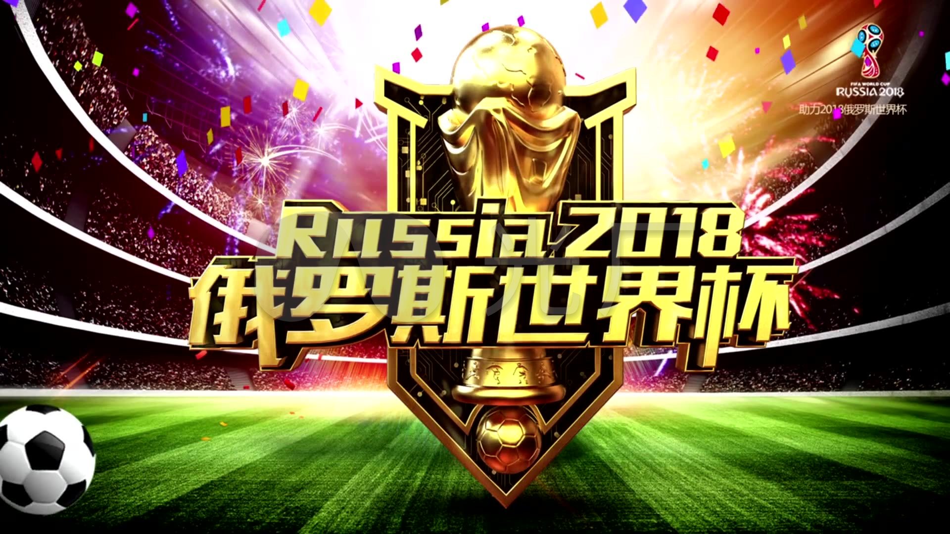 的成年